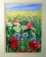Vintage 1986 Framed, Mounted Poppies Original Watercolour Signed Davies