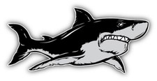 Shark Car Bumper Sticker Decal