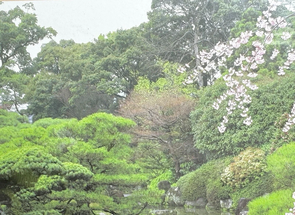 Spring Garden/Kyoto 1000 件拼图 EPOCH 日本制造 密封 — 第 3/4 张图片