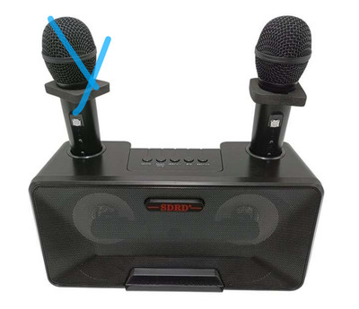 SDRD SD-301 Karaoke-Lautsprecher Mikrofon schwarz