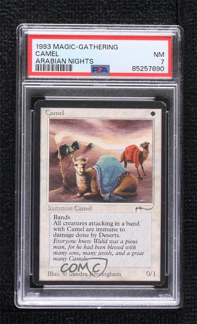 Camel Magic: Arabian Nights PSA 7 1993