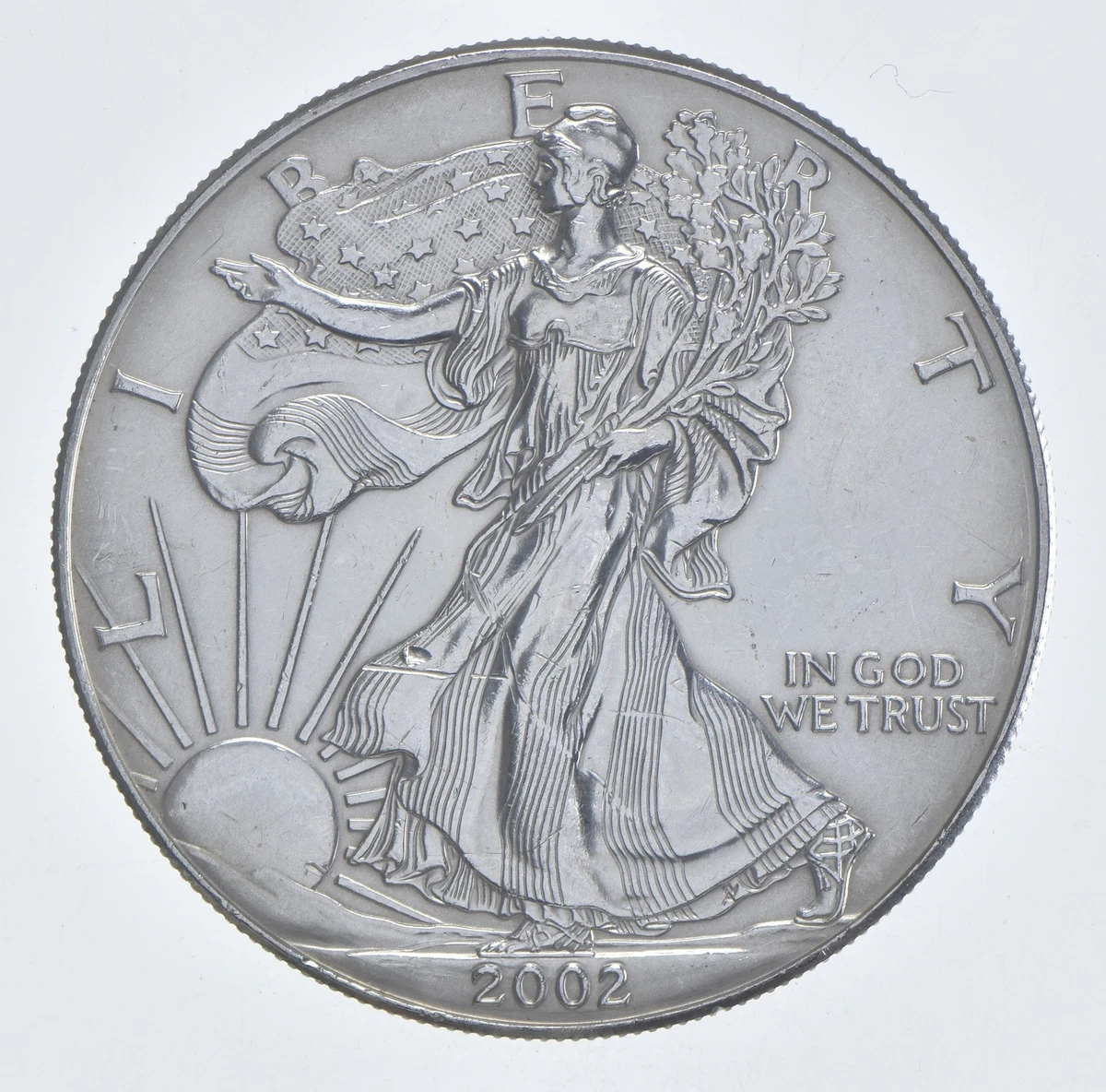 25+ American Eagle Silver Bullion Coins 2002 for sale | Updated