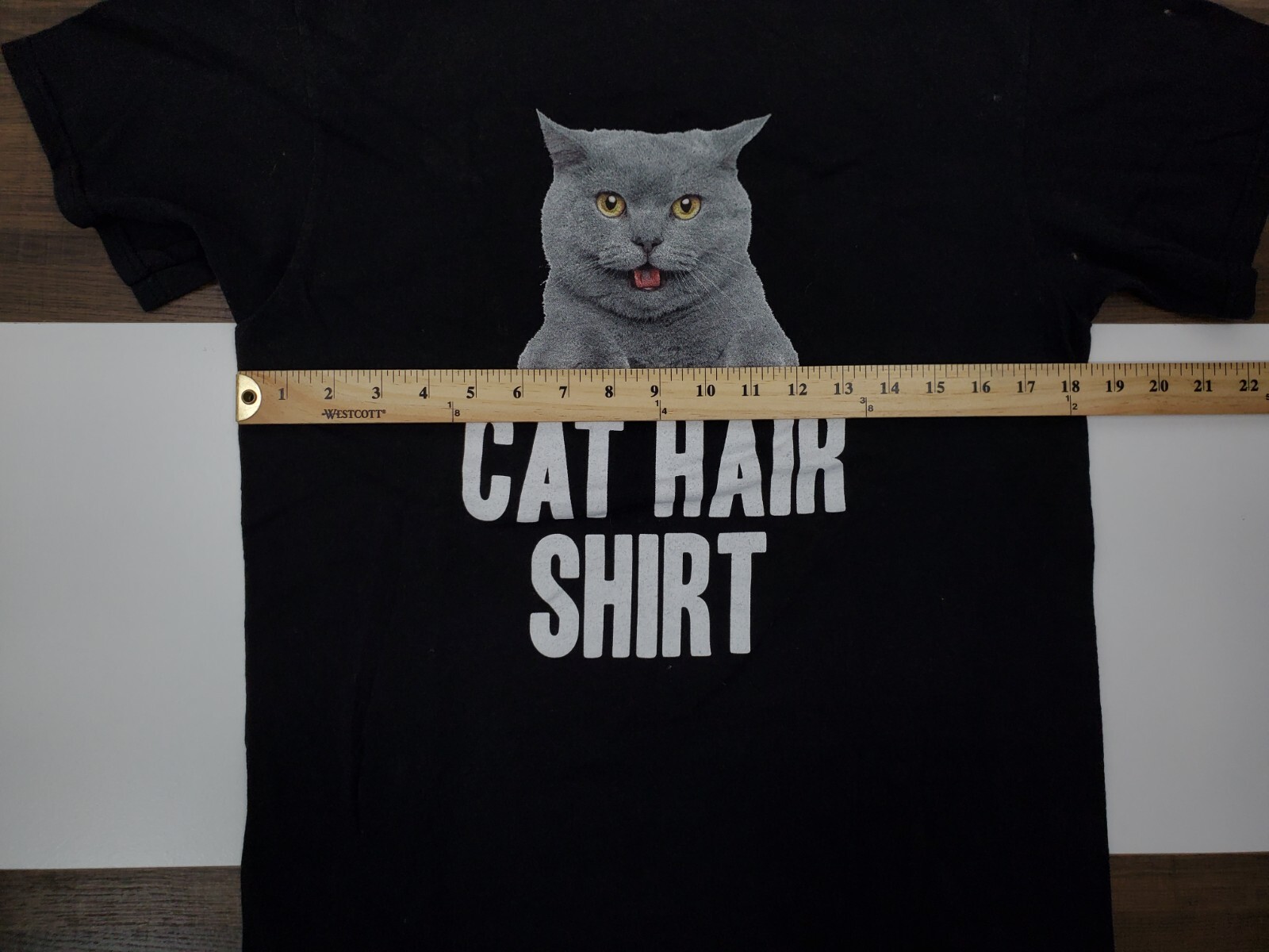 Top 117 + Cat hair on clothes meme polarrunningexpeditions