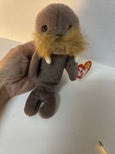 Ty Jolly the Walrus Beanie Baby, 1996,RARE DEUTSCHLAND Tag Errors Taking Offers