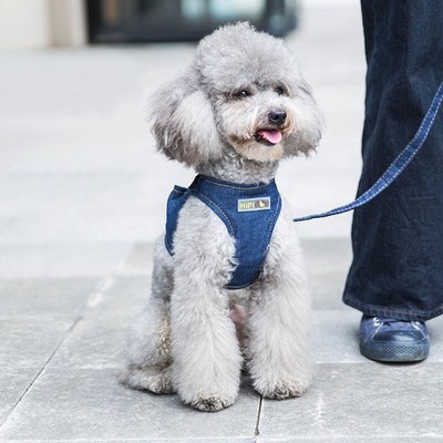 【PET SELECT】 Denim Pet vest and traction rope
