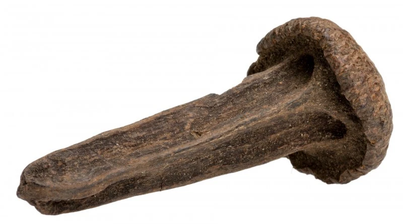 NaDeco® Sero Nail | Couratari guianensis | Hornnagel | Holznagel | Deko Nagel