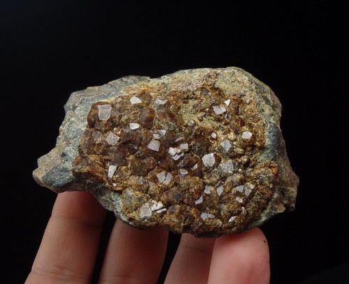 GARNET var. ANDRADITE crystals on skarn ! AZERBAIJAN Caucasus - Dashkesan /ph226 - Picture 9 of 12