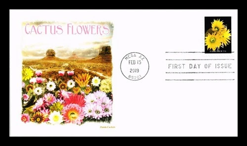 US COVER CACTUS FLOWERS FIRST DAY ISSUE PANDA CACHET