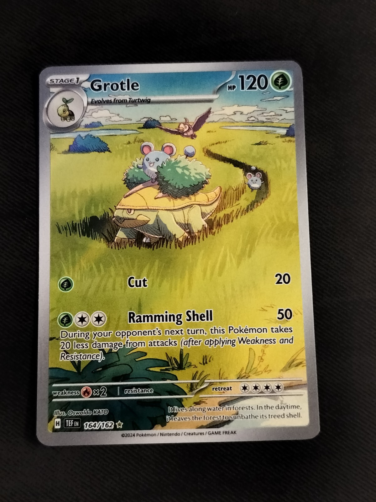 Grotle 164/162 SV05: Temporal Forces Holo