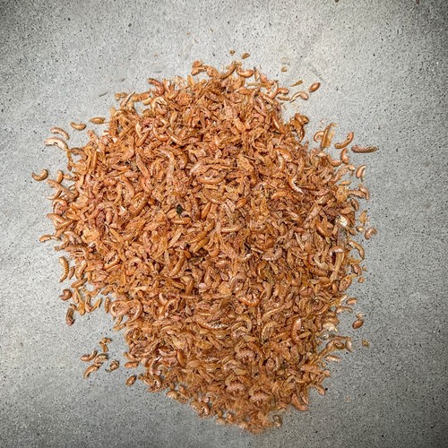 Seidenraupen Mehlwürmer Gammarus Garnelen Beutel Mehr-Sorten-Mix getrocknet 1 kg - Bild 4 von 9