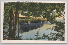 State View~Air View Bebee Lake Ithaca New Yor...