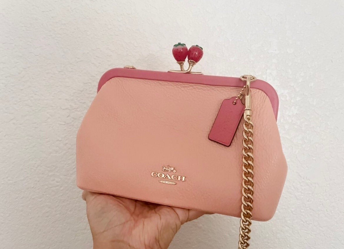 NWT Coach Nora Kisslock Crossbody With Strawberry C8401 | eBay