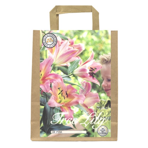 Lilienzwiebeln Sets bunte Blumenzwiebeln Lilium Zwiebeln Knollen Lilien Blüte - Bild 66 von 89