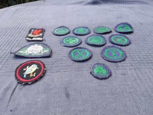 Lot of 13 Vintage 1960s Girl Guide Cloth Badges - Picture 16 of 23