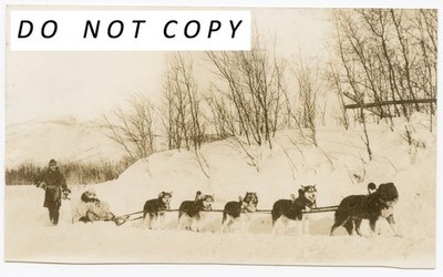 Yukon Canada Sepia 1933 RPPC Postcard of Musher & his Dog Team Pulling the Sled