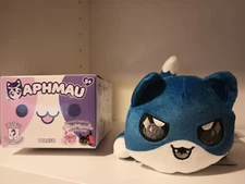 aphmau meemeows Litter 6 Ein Cat