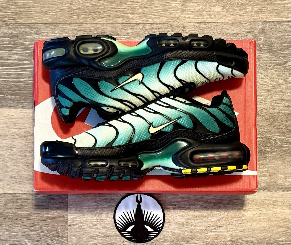 Nike Air Max Plus 'Vapor Green Gradient' Black DM0032-301 Men's