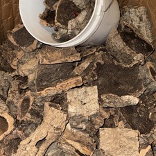 Cork bark, Rounds, Flats, Halves, small-medium PICK YOUR OWN 