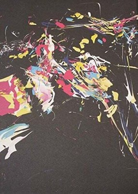 Lux Aeterna Robert Seidel Buch
