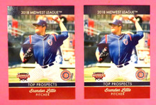 2 - 2018 Choice, Midwest League T/P - South Bend Cubs - BRENDON LITTLE