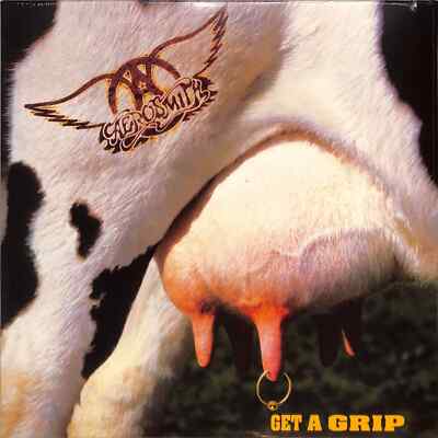 Aerosmith / GET A GRIP (2 LP) / Geffen / 4795439 / 2LP