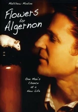 Flowers For Algernon (DVD, 2008)  Matthew Modine    BRAND NEW