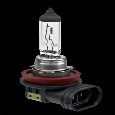 H11 Halogen Bulb For 2016 Nissan Sentra 
