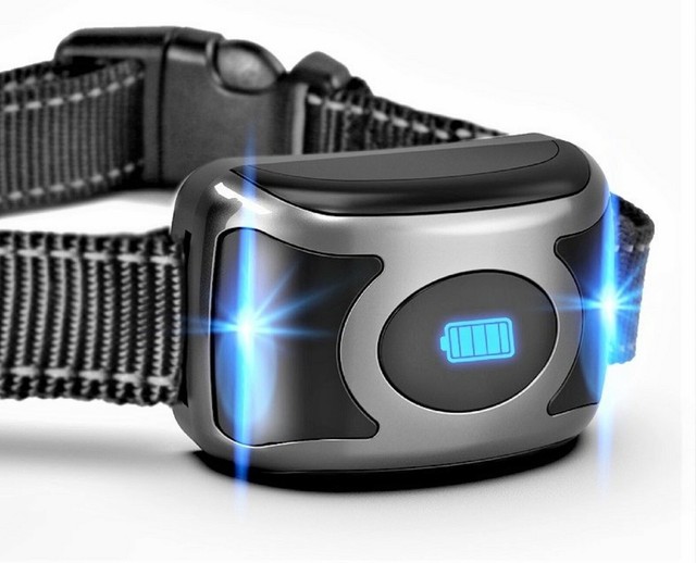 Replacement Collar for Groovypet Remote Dog Training Shock Trainer