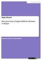 Bioconversion Of Lignocellulosic Biomass To Biogas (Buch)