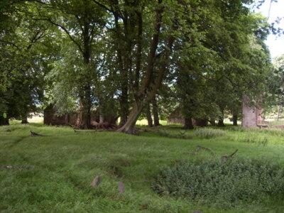 Foto 6x4 Gartenmerkmale von Devonview Haus Hill End\/NT0395 Die "m c2008