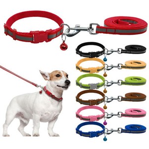 cute puppy collars and leashes