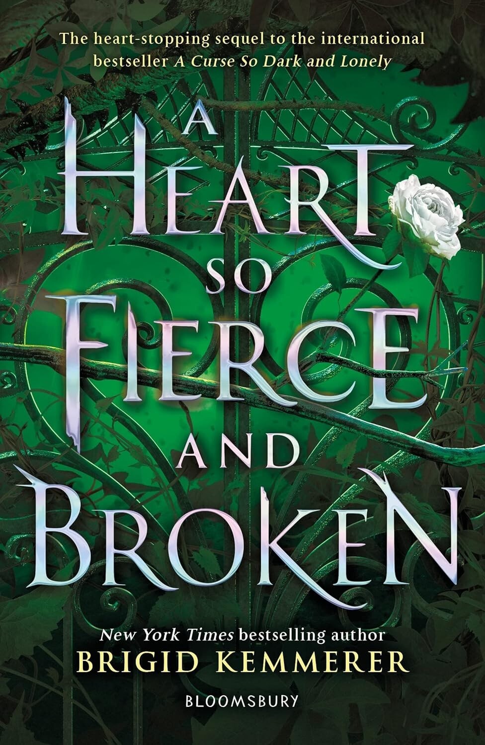 A Heart So Fierce and Broken by Brigid Kemmerer (English) Paperback Book