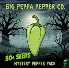  MYSTERY MIX PEPPER PACK 30 RANDOM MIXED SEEDS FREE SHIPPING 