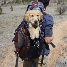 Collapsible Dog Travel Bowl, 8 Cups Large Lightweight Foldable Bowl, Water an...