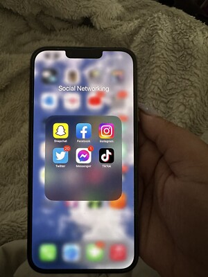 Apple iPhone 13 Pro Max - 128 GB - Green 
