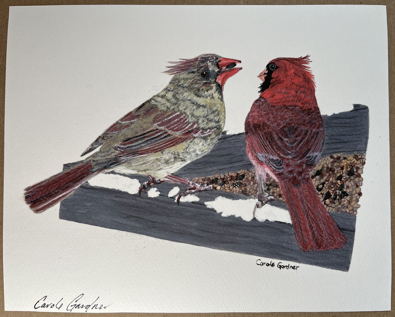 Cardinal Pair - Hand signed, numbered print by artist 8” x 10