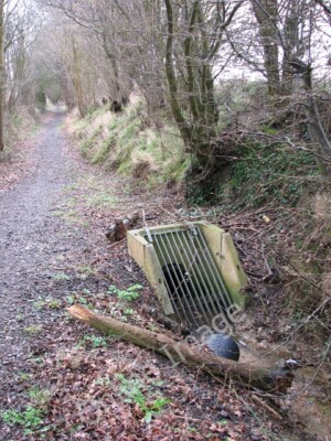 Photo 6x4 The end of the open ditch Rushall/TM1982 The open ditch which  c2010