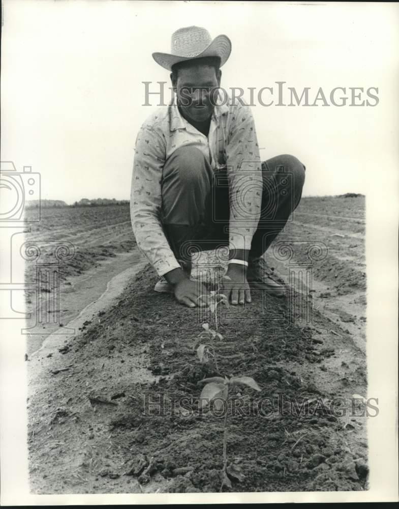 1975 Press Photo Trappey's Hot Sauce Eli Wiltz with Pepper