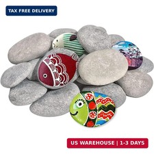 DALTACK 10 Pcs Large Rocks for Painting, Natural River Rocks, Flat River Rocks,