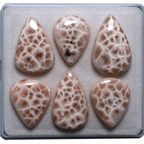 6 PC Natural Thompsonite AAA Quality 20mm-25mm Pear Cabochon Loose Gemstones Lot - Picture 5 of 13