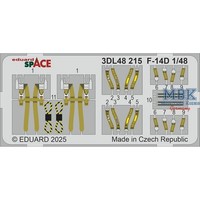 Eduard ED3DL48215 Grumman F-14D Tomcat Space 1/48