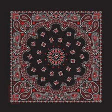 Hav-A-Hank USA Made Cotton Paisley Bandanna 22"X22" Black / White / Red