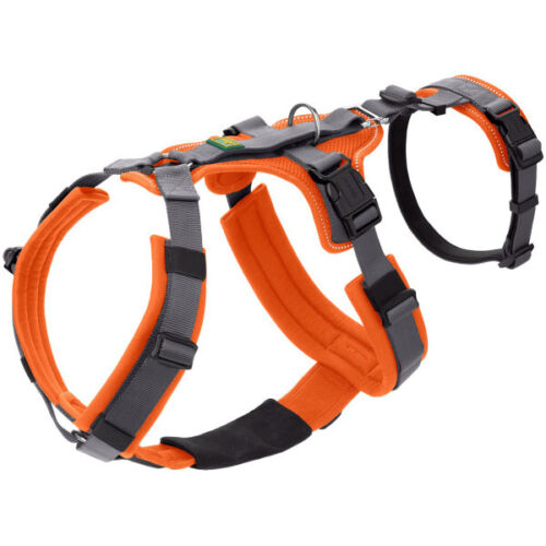 Imbracatura di sicurezza HUNTER con maniglia imbracatura per cane sicurezza Maldon arancione/grigio - Foto 1 di 42