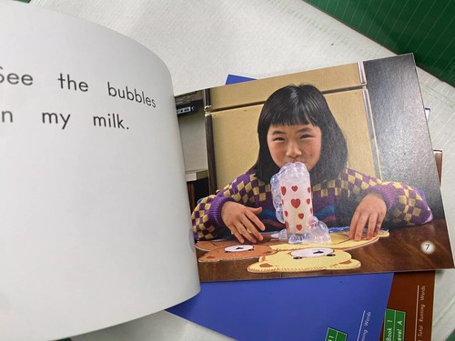 FOUNTAS & PINNELL Green LLI Lessons 1-110 Levels A-J (110 Book Set) Readers - Picture 16 of 18