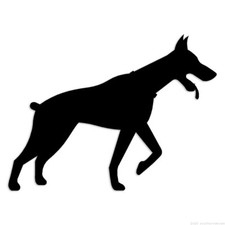 Doberman Dog - Decal Sticker - Multiple Colors  Sizes - ebn6527