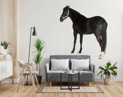 3D Auffällig Pferd C227 Tier Wallpaper Wandbild Poster Wandaufkleber Abziehbild