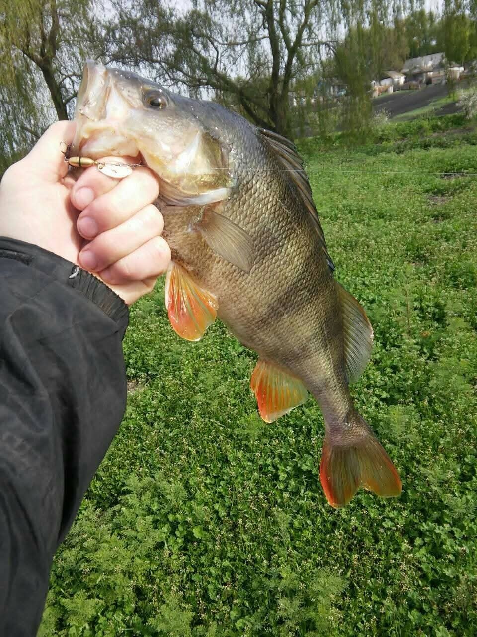  Handmade  fishing spinners 4/25 oz.  (4,65gr) for trout, bass, perch, pike - Image 9