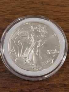 2022 Silver Eagle Type 2 | eBay
