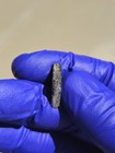 Fezzou 002 Angrite Meteorite 1.241g Part Slice Rare Achondrite w/ COA — photo 4