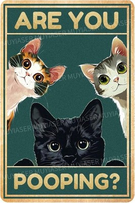 Tin Metal Signs Home Décor 8x12 Cats Are You Pooping Vintage Retro Aluminum Toil